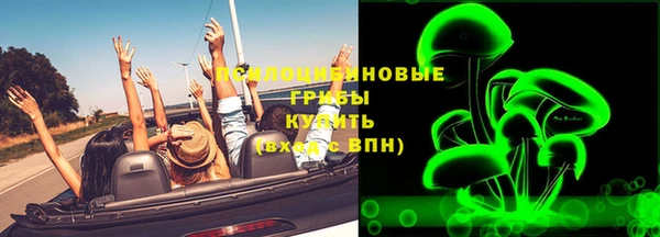 индика Новокубанск