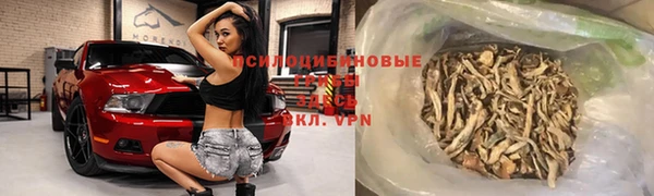 MDMA Новозыбков