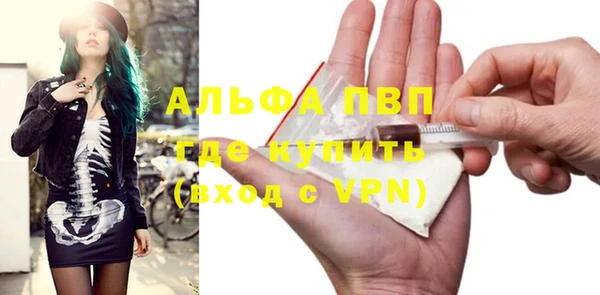 индика Новокубанск