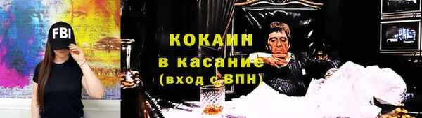 индика Новокубанск