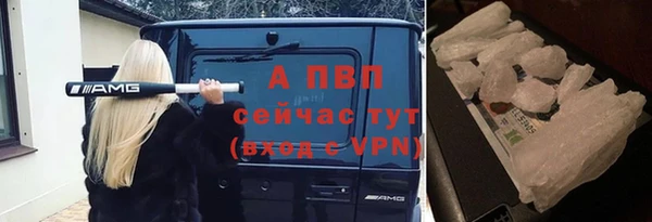 хмурый Новодвинск