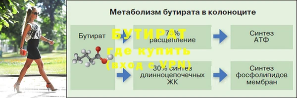 индика Новокубанск