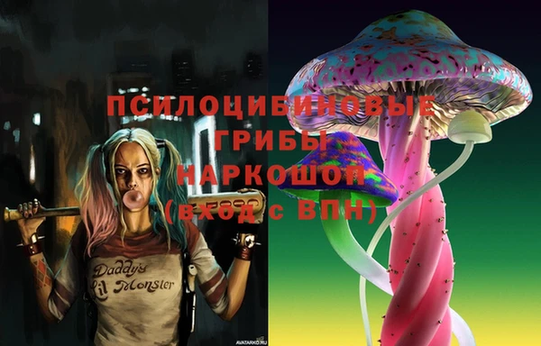 индика Новокубанск