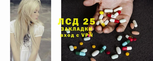 индика Новокубанск