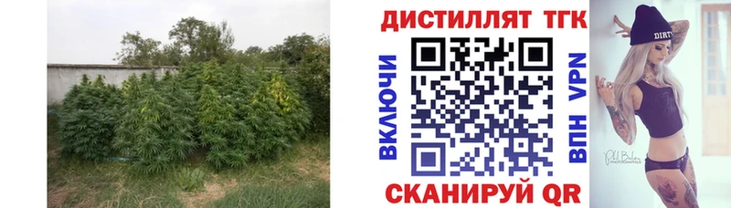 ТГК вейп с тгк  Шарья 
